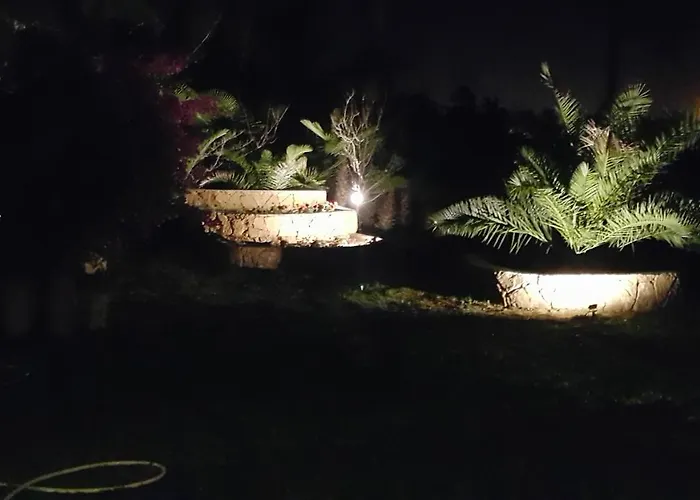 Palmeraie Skhirat1
